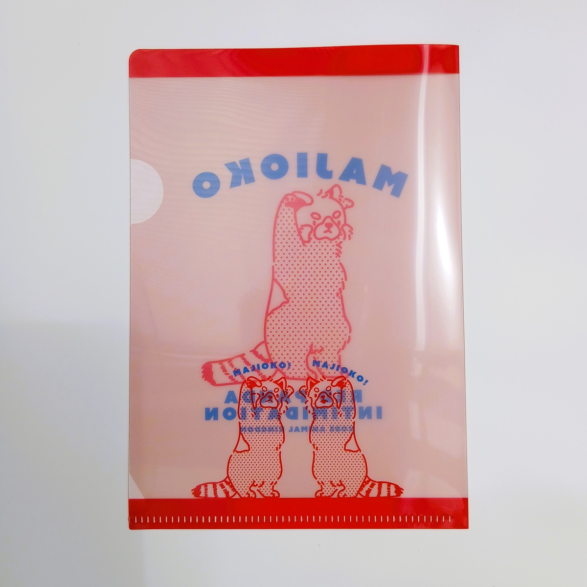 A6クリアファイル MAJIOKO レッサーパンダ | 神戸どうぶつ王国NS